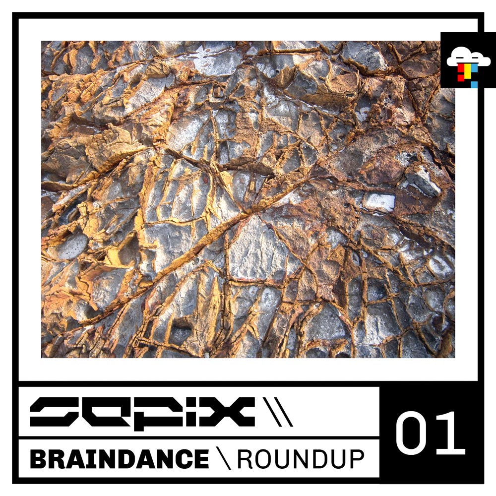 Sepix - Braindance Roundup 01