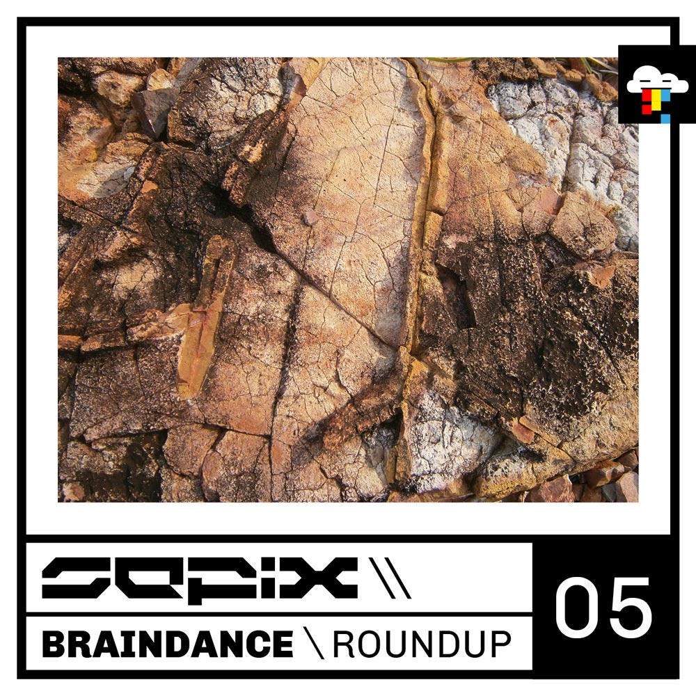 Sepix - Braindance Roundup 05