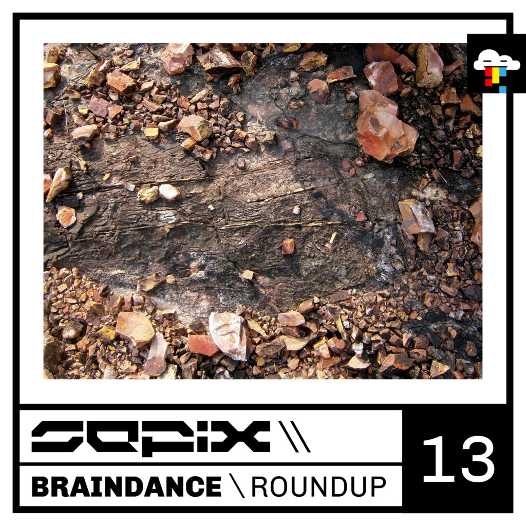 Sepix - Braindance Roundup 13