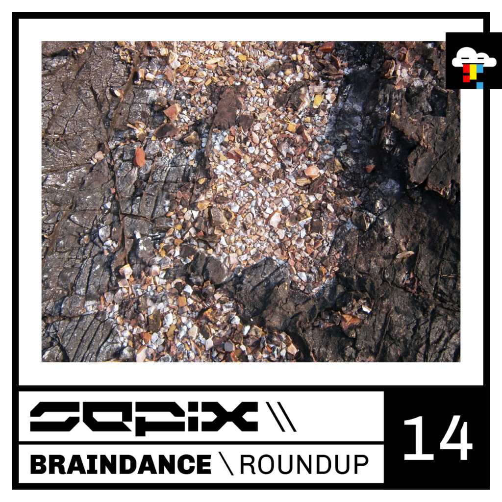 Sepix - Braindance Roundup 14